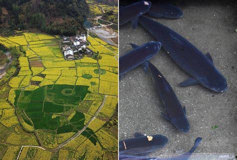 国产1区2区3区4区